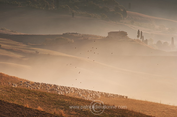 Near Pienza, Tuscany - Pres de Pienza, Toscane - it01700