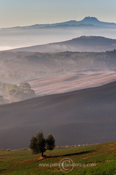 Val d'Orcia, Tuscany - Val d'Orcia, Toscane - it01709