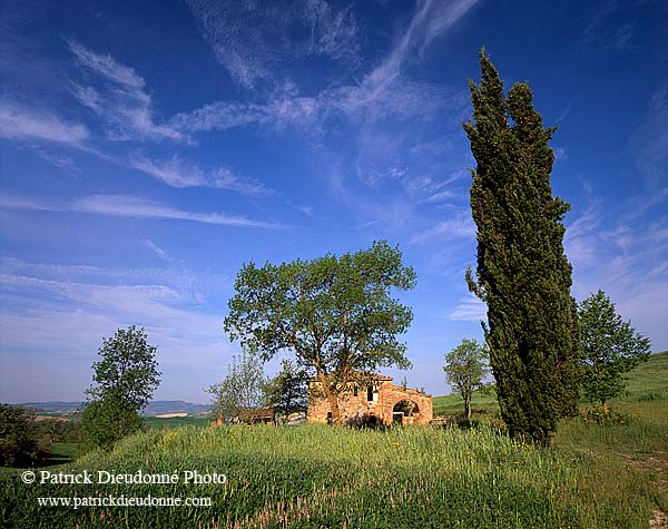 Tuscany, house near Pienza  - Toscane, maison et cyprès  12672