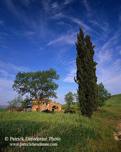 Tuscany, house near Pienza  - Toscane, maison et cyprès  12673