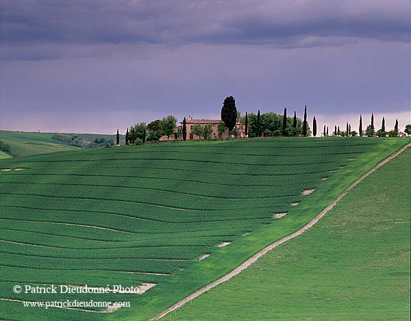 Tuscany, farm near Pienza  - Toscane, ferme et cyprès  12683