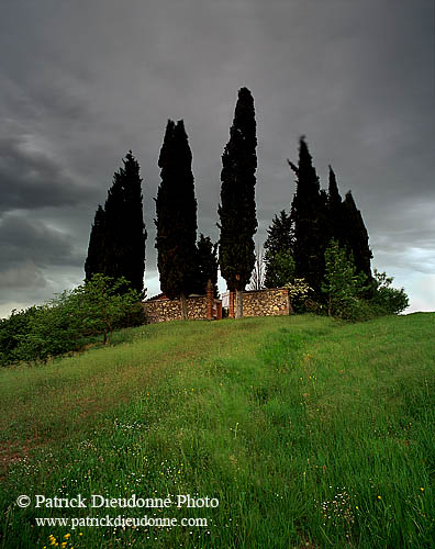 Tuscany, graveyard and cypress  - Toscane, cimetière & cyprès  12686
