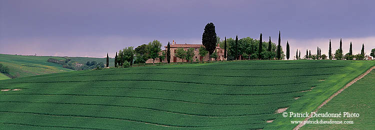 Tuscany, farm near Pienza  - Toscane, ferme et cyprès  12684