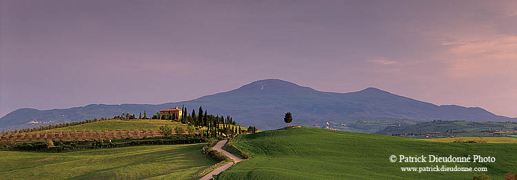 Tuscany, countryside in Val d'Orcia  - Toscane, Val d'Orcia  12695