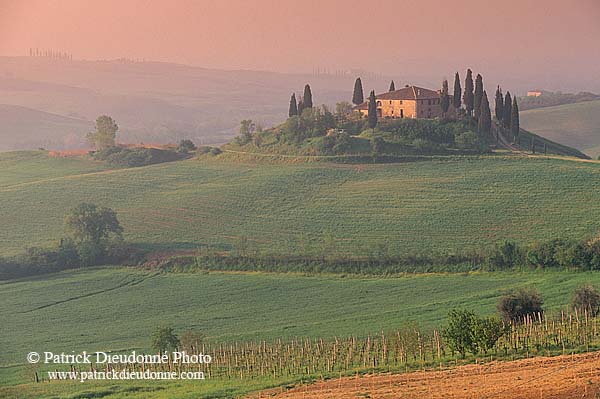 Tuscany, countryside in Val d'Orcia  - Toscane, Val d'Orcia  12634