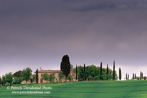 Tuscany, farm near Pienza  - Toscane, ferme et cyprès  12703