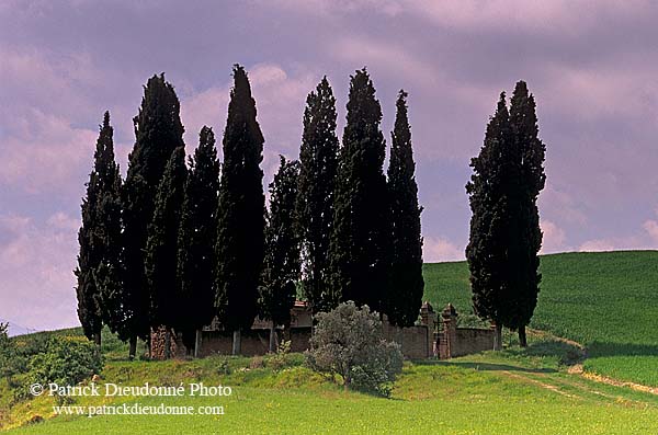 Tuscany, near Torrenieri, val d'Asso  - Toscane, Torrenieri   12710