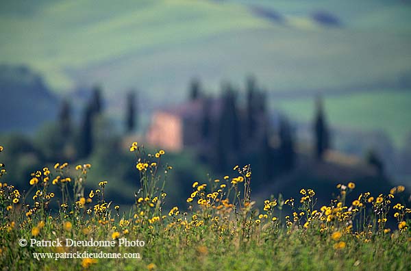 Tuscany, countryside in Val d'Orcia  - Toscane, Val d'Orcia  12715