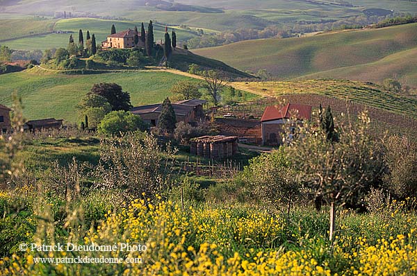 Tuscany, countryside in Val d'Orcia  - Toscane, Val d'Orcia  12652