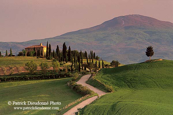 Tuscany, countryside in Val d'Orcia  - Toscane, Val d'Orcia  12726