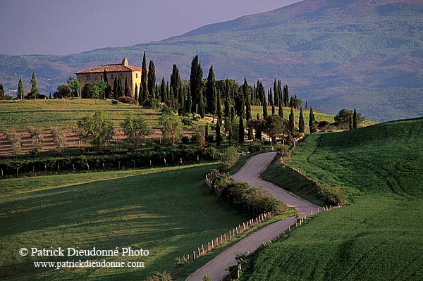 Tuscany, countryside in Val d'Orcia  - Toscane, Val d'Orcia  12727