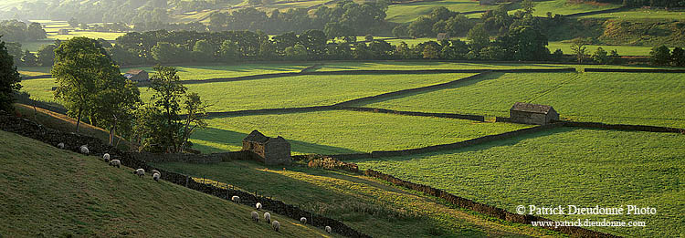 Swaledale, near Gunnister, Yorkshire Dales NP, England - Gunnister, Yorkshire Dales   12931
