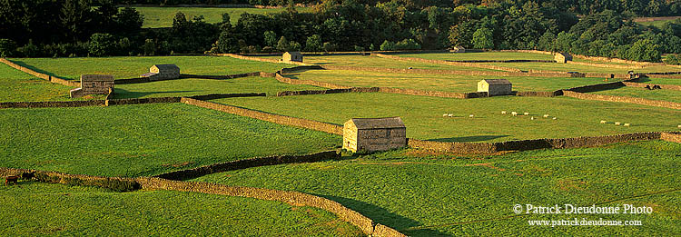 Swaledale, near Gunnister, Yorkshire Dales NP, England - Gunnister, Yorkshire Dales  12932