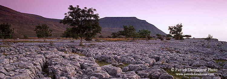 Limestone pavements, Yorkshire NP, England - Lapiez   12938