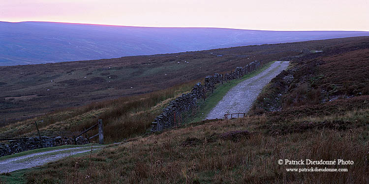 Redmire moor, Yorkshire NP, England - Redmire moor  12943