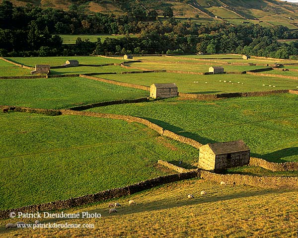 Swaledale, near Gunnister, Yorkshire Dales NP, England - Gunnister, Yorkshire Dales  12949