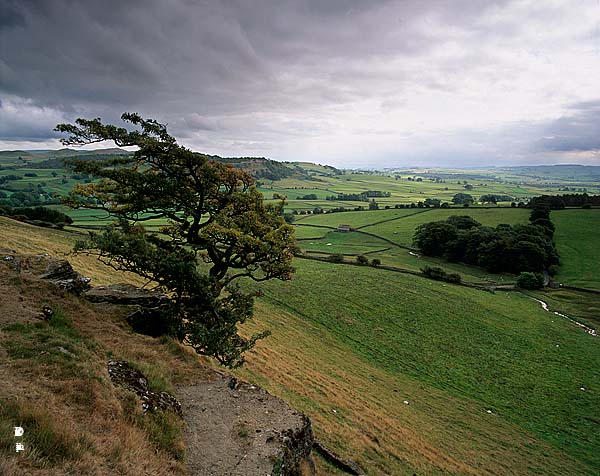 Austwick (near), Yorkshire NP, England - Paysage près d'Austwick  12946