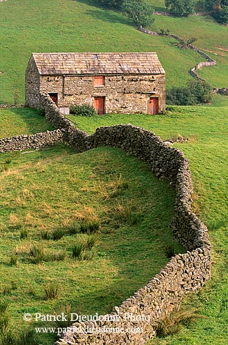 Swaledale, old barn, Yorkshire Dales NP, England - Grange traditionnelle 12778