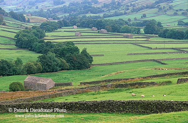 Swaledale valley, Yorkshire NP, England - Valléé de Swaledale 12793