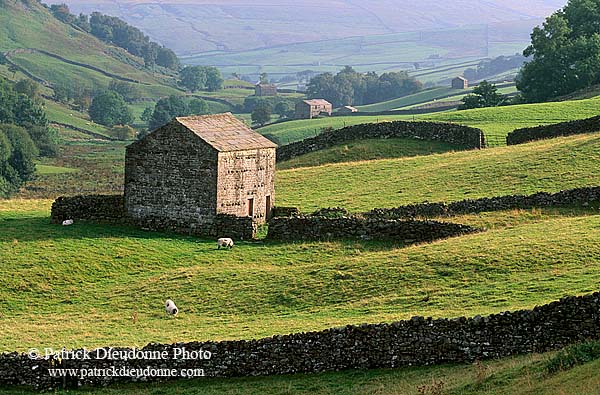 Swaledale,old barn, Yorkshire Dales NP, England - Grange traditionnelle 12796