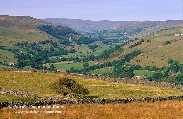 Swaledale & Whiteside moor, Yorkshire Dales NP, England -  Vallée de Swaledale 12809