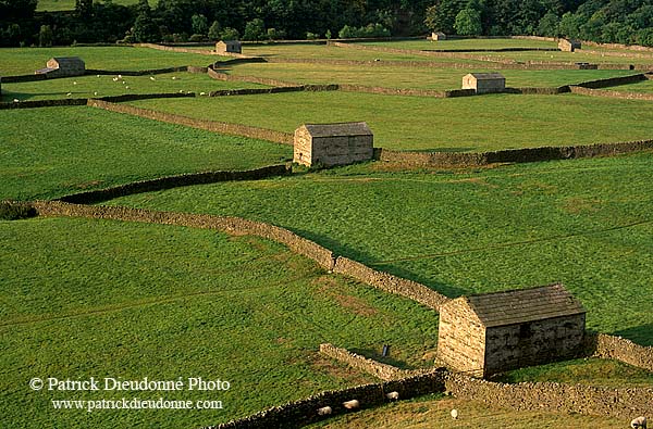 Swaledale; England, fields near Gunnister - Champs près Gunniste 12811