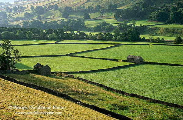 Swaledale; England, fields near Gunnister - Champs près Gunniste 12816