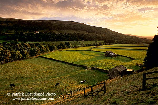 Swaledale; England, fields near Gunnister - Champs près Gunniste 12818