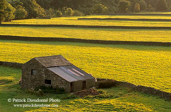 Swaledale; England, fields near Gunnister - Champs près Gunniste 12822
