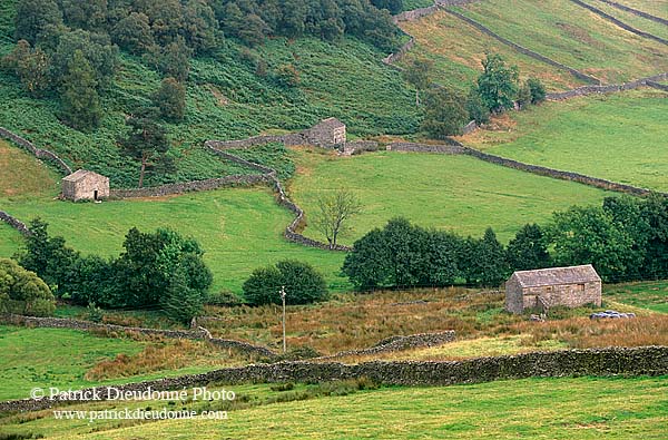 Swaledale (upper), Yorkshire NP, England -  Vallée de Swaledale 12830