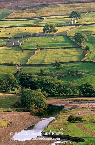 Swaledale valley, Yorkshire NP, England -  Vallée de Swaledale 12833