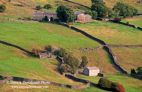 Arkengarthdale, farm, Yorkshire Dales NP, England - Ferme, Arkengarthdale  12844