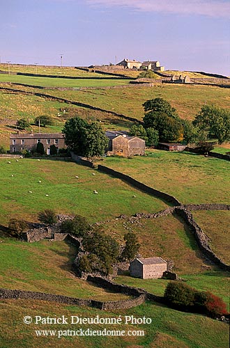 Arkengarthdale, farm, Yorkshire Dales NP, England - Ferme, Arkengarthdale  12848