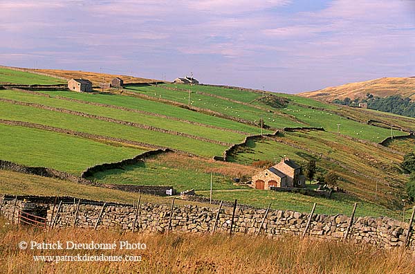 Arkengarthdale, farm, Yorkshire Dales NP, England - Ferme, Arkengarthdale  12850