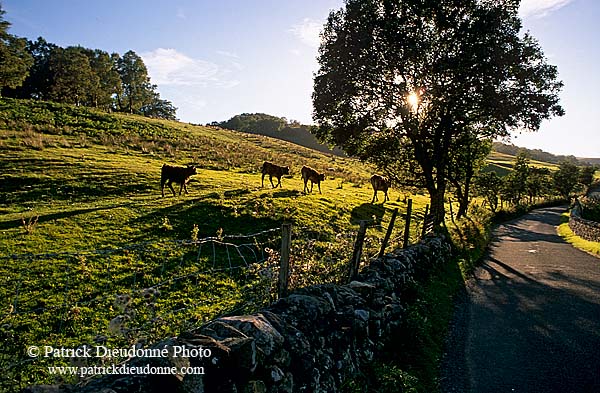 Langstrothdale, Yorkshire NP, England -  Langstrothdale  12859