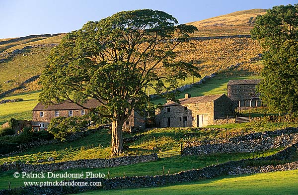 Langstrothdale, Yorkshire NP, England -  Langstrothdale  12865