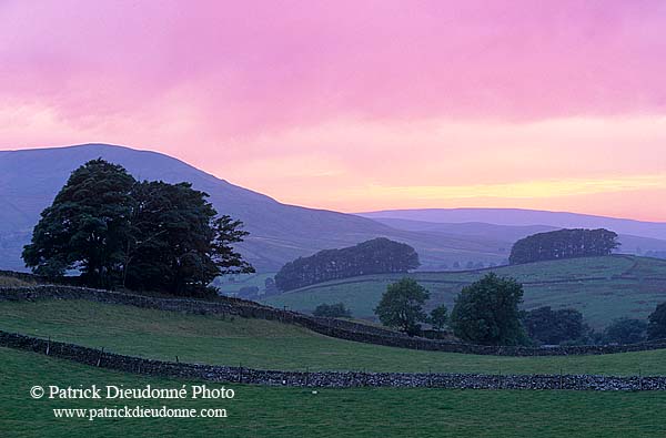 Sunset, Wensleydale, Yorkshire NP, England - Couchant   12873