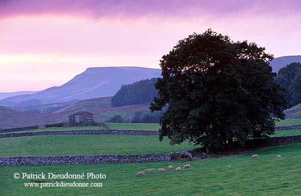 Sunset, Wensleydale, Yorkshire NP, England - Couchant   12875