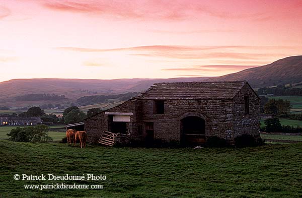 Wensleydale, Barn at sunset, Yorkshire Dales NP, England - Grange au couchant   12876