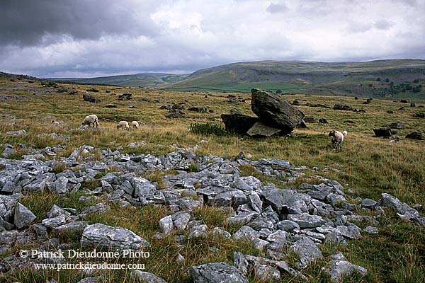 Norber erratics, Yorkshire NP, England - Erosion karstique   12894