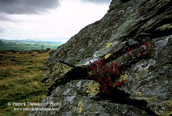 Norber erratics, Yorkshire NP, England - Erosion karstique   12899