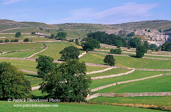 Malham typical landscape, Yorkshire NP, England -  Près de Malham  12906