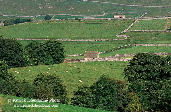 Malham typical landscape, Yorkshire NP, England -  Près de Malham  12911