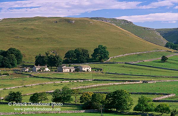 Malham typical landscape, Yorkshire NP, England -  Près de Malham  12915