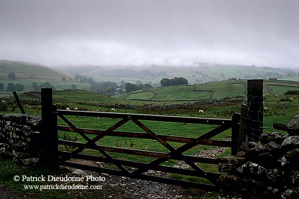 Malham typical landscape, Yorkshire NP, England -  Près de Malham  12916