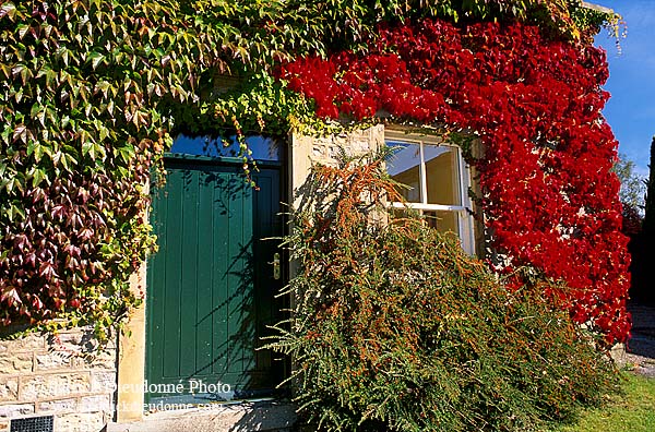 House at Airton, Yorkshire NP, England - Maison à Airton 12922