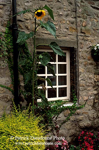 House, Yorkshire Dales NP, England - Maison, Yorkshire Dales  12925