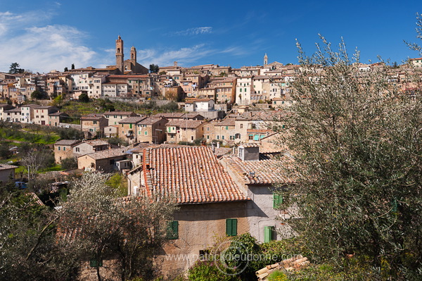 Montalcino, Tuscany - Montalcino, Toscane - it01034