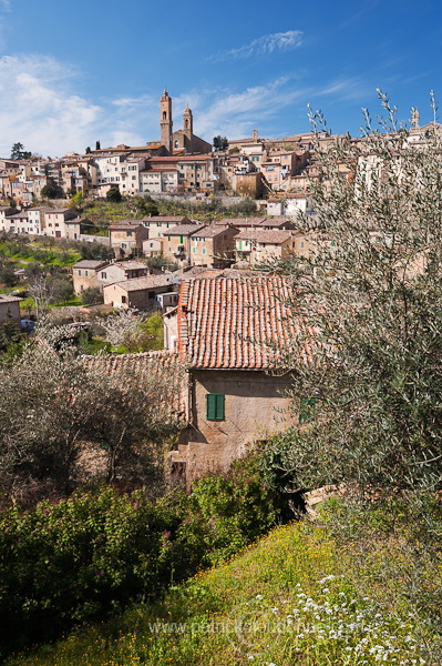 Montalcino, Tuscany - Montalcino, Toscane - it01035