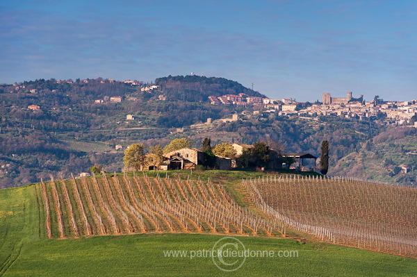 Montalcino, Tuscany - Montalcino, Toscane - it01091